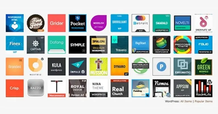 Themes Wordpress